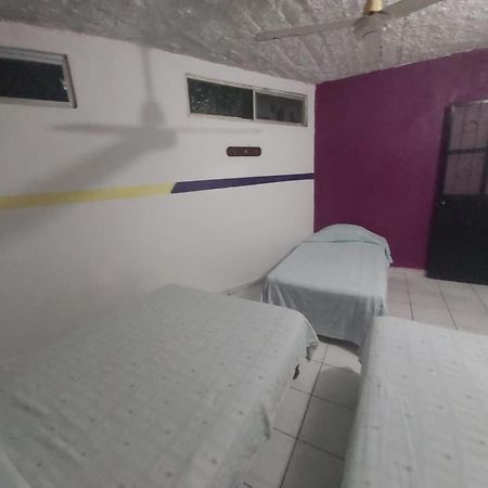 Hotel Ayalamar マンサニージョ エクステリア 写真