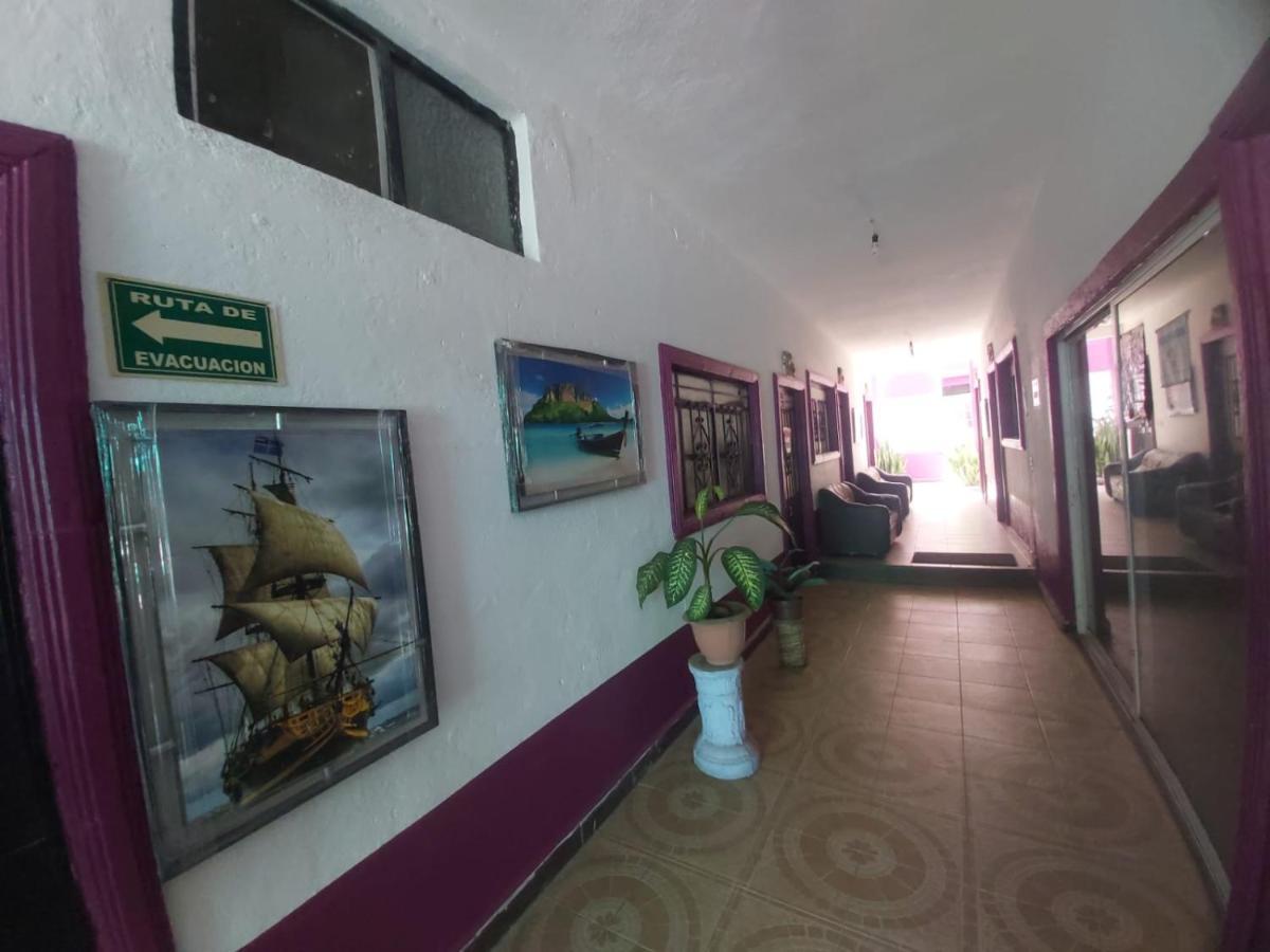 Hotel Ayalamar マンサニージョ エクステリア 写真