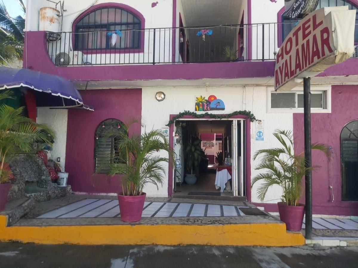 Hotel Ayalamar マンサニージョ エクステリア 写真